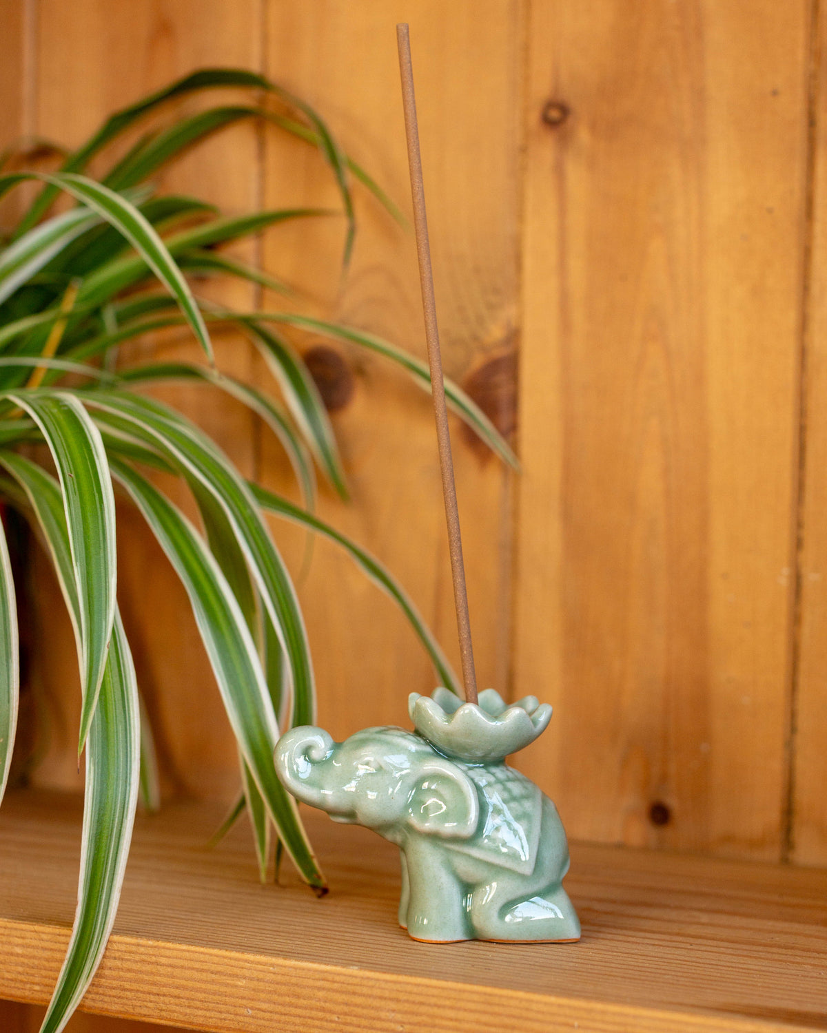 Green Elephant Incense Holder