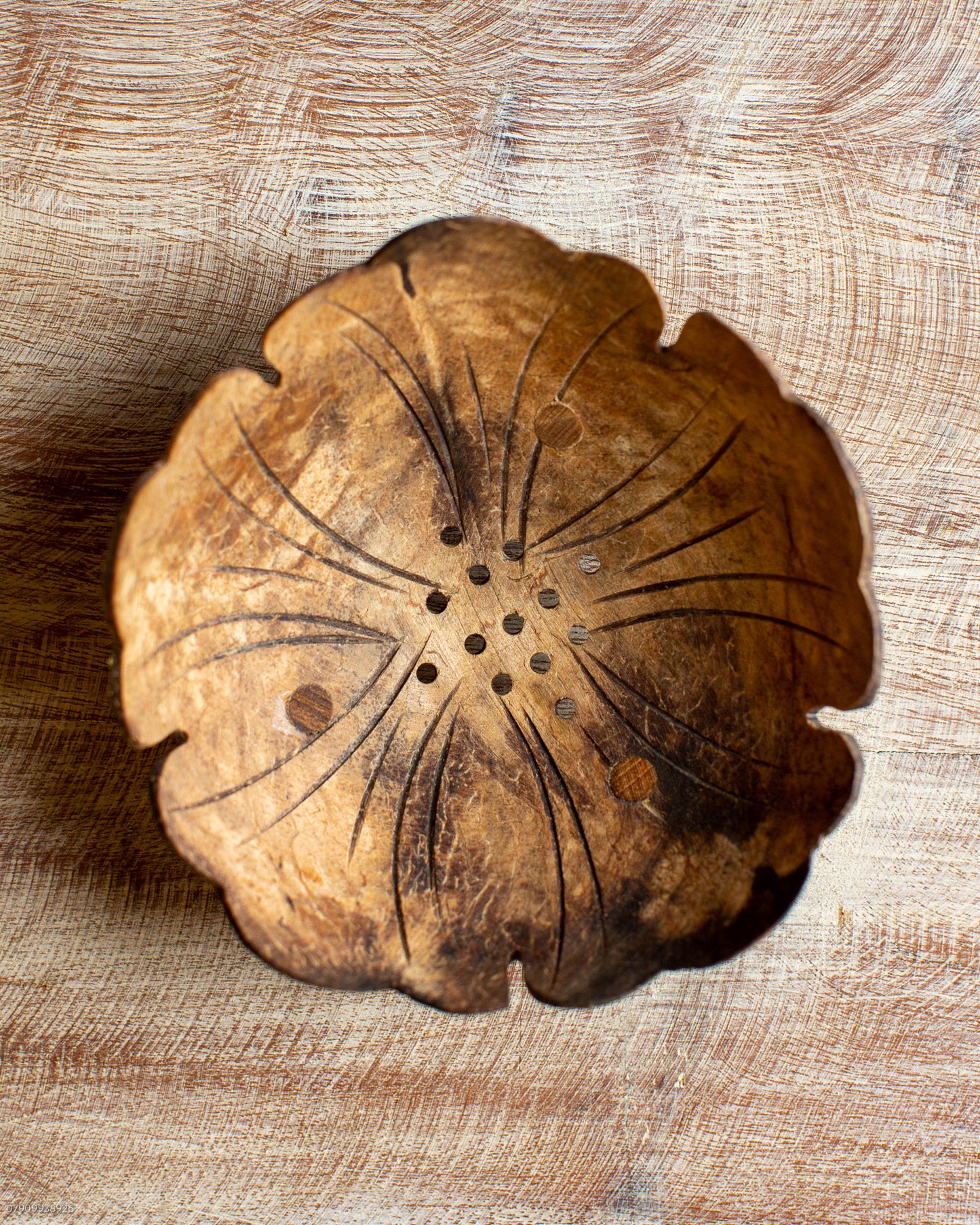 Coconut Soap Holder