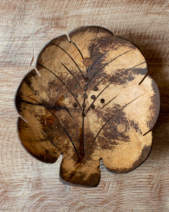 Coconut Soap Holder