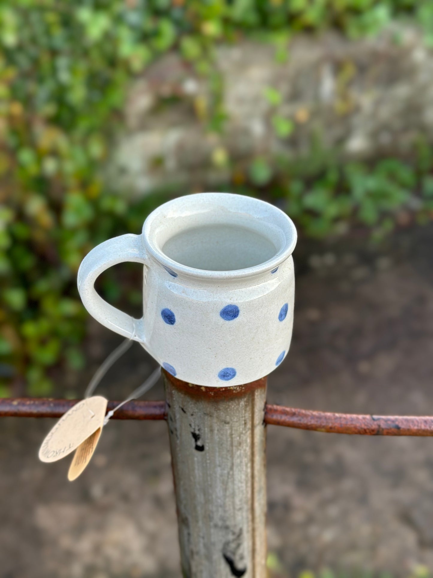 Blue Spot Ceramic Mug