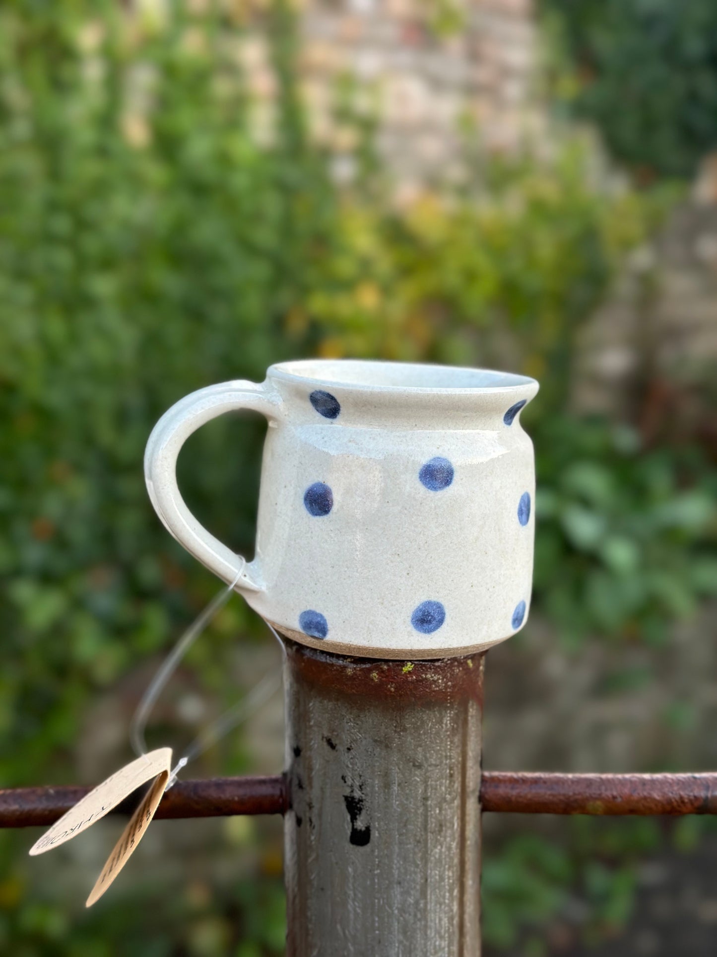 Blue Spot Ceramic Mug