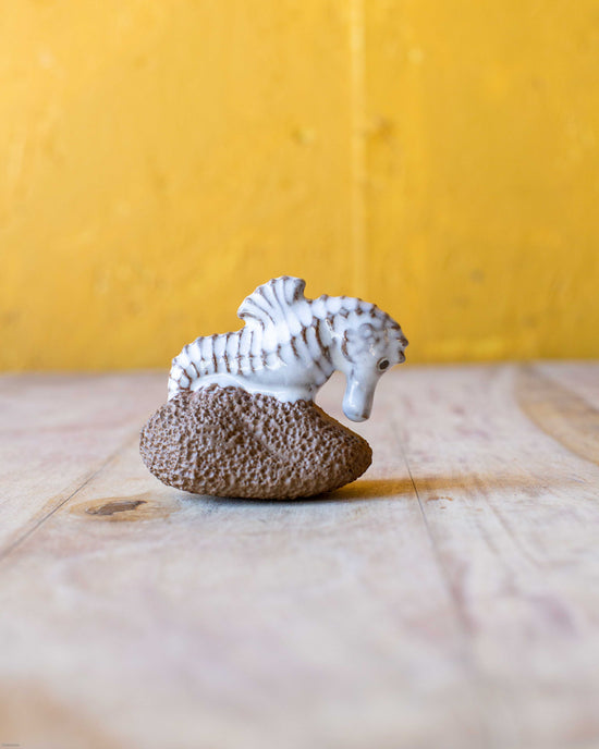 Ceramic Footscrubber