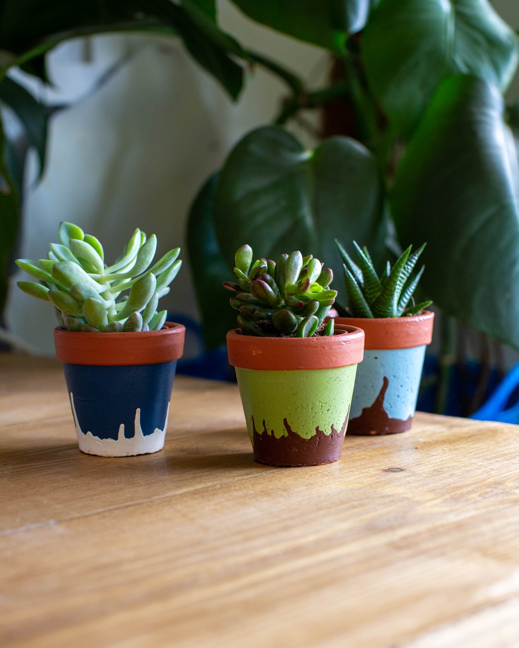 Clay Handmade Handpainted Flower Pot set of 3 - The india Shop