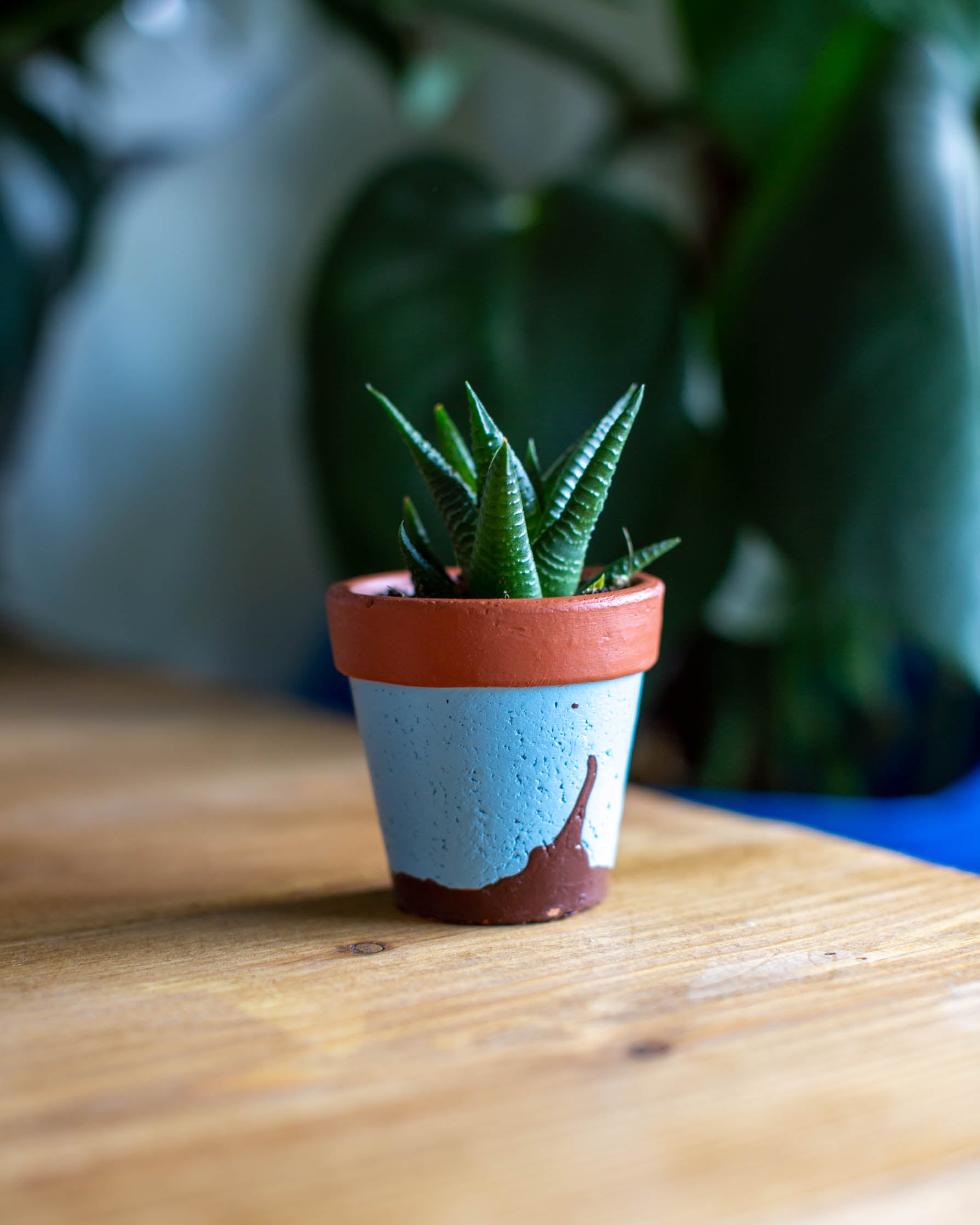 Clay Handmade Handpainted Flower Pot set of 3 - The india Shop